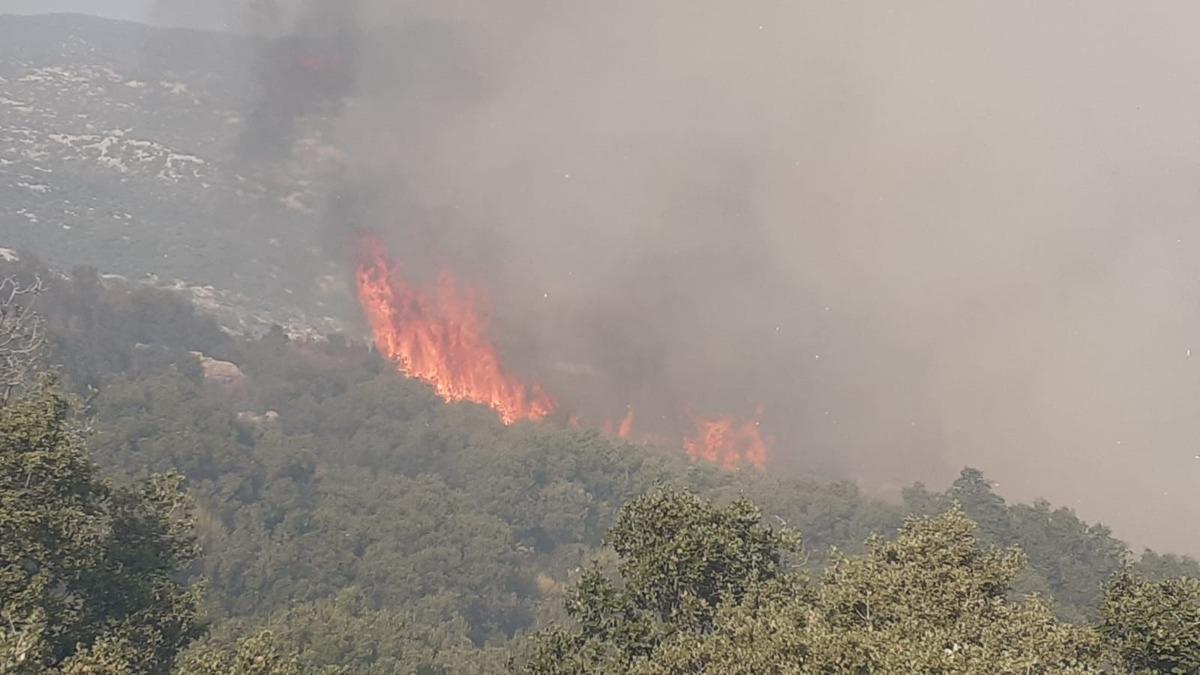 G&Uuml;NCELLEME - Kaş'ta makilik alanda &ccedil;ıkan yangına m&uuml;dahale ediliyor