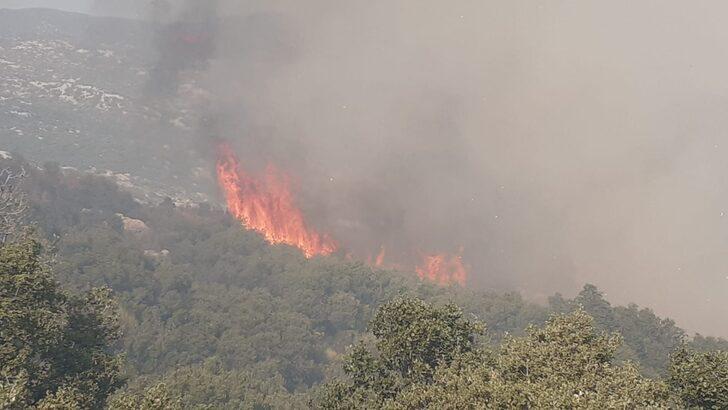 GÜNCELLEME - Kaş'ta makilik alanda çıkan yangına müdahale ediliyor G1