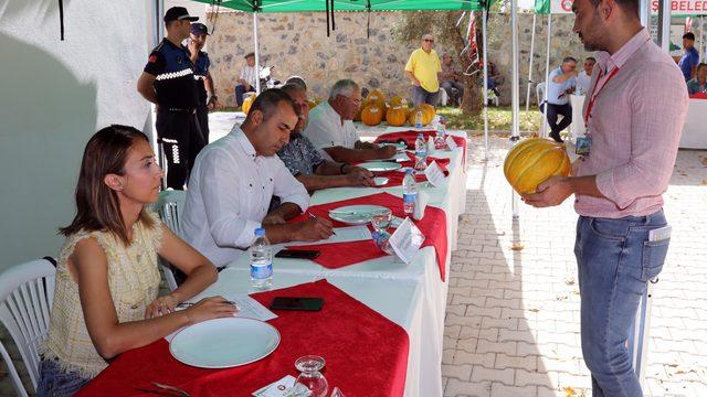 Muğla'da Yayla Kavunu Yarışması düzenlendi