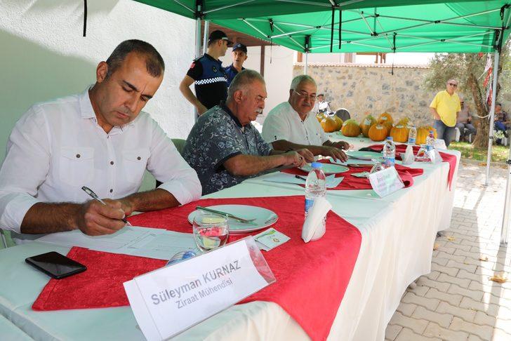 Muğla'da Yayla Kavunu Yarışması düzenlendi G2