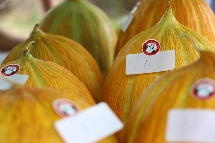 Muğla'da Yayla Kavunu Yarışması düzenlendi G3