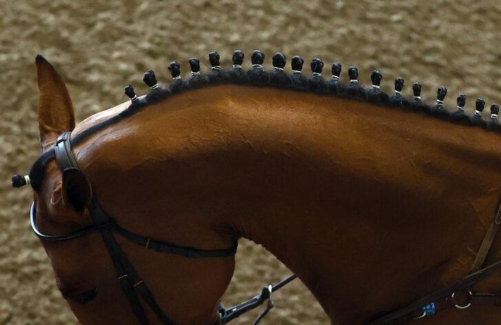 Binicilik: Cumhurbaşkanlığı Kupası G2