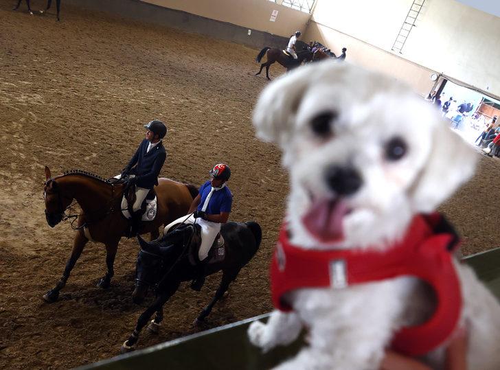 Binicilik: Cumhurbaşkanlığı Kupası G3