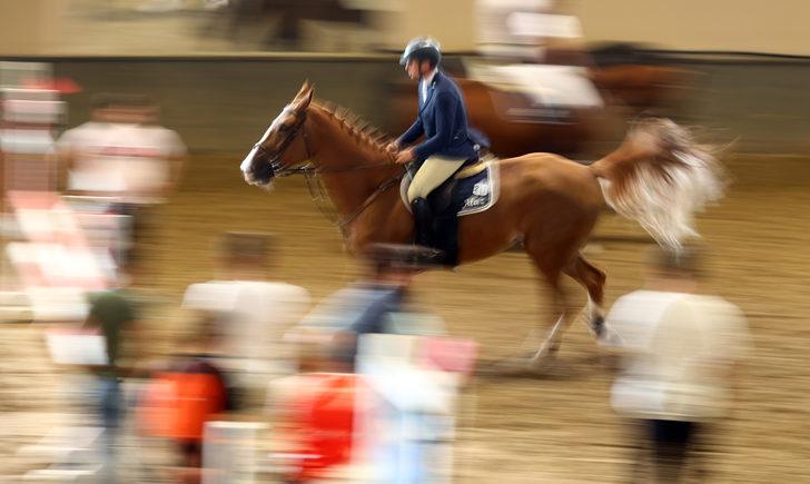 Binicilik: Cumhurbaşkanlığı Kupası G4