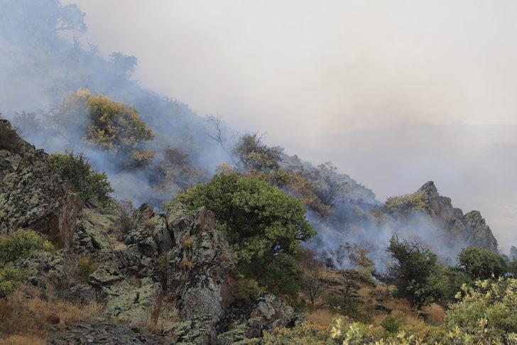 Bayburt'ta dağlık alanda çıkan örtü yangınına müdahale ediliyor G2