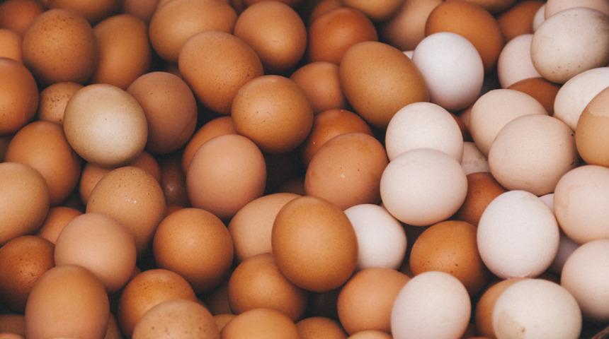 Protein kaynağı yumurta işte böyle zehre dönüşüyor! Bakteriler buzdolabına yayılıyor...