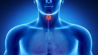 Kilo alma veya verememe hipotiroidi ile açıklanır mı?