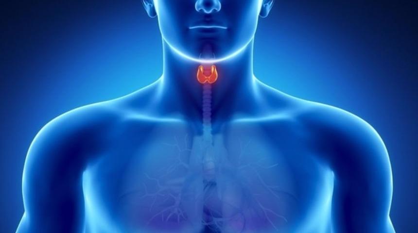 Kilo alma veya verememe hipotiroidi ile açıklanır mı?