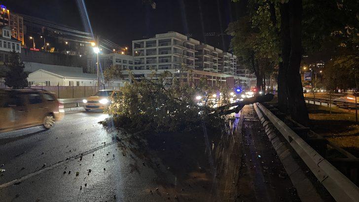 Trabzon'da şiddetli rüzgar etkili oldu