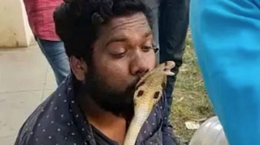 Kurtardığı vahşi yılanı öpmek istedi! Sevgi gösterisi pahalıya patladı