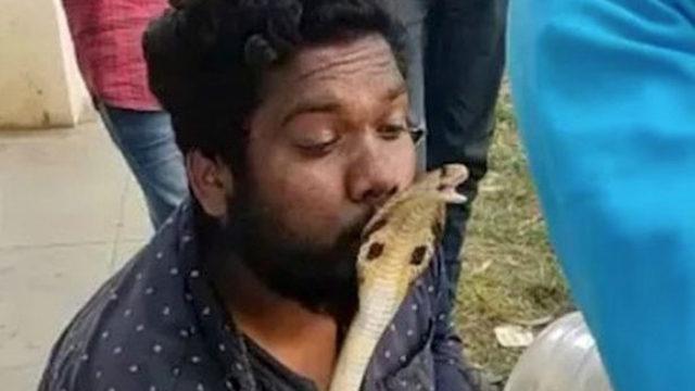 Kurtardığı vahşi yılanı öpmek istedi! Sevgi gösterisi pahalıya patladı