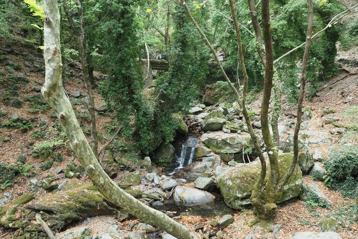 Doğa yürüyüşçülerinin gözdesi: Kazdağları G1