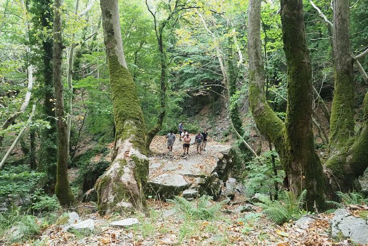 Doğa yürüyüşçülerinin gözdesi: Kazdağları G4