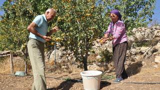 Mersin'de emekli çift sirke yapmak için ektikleri alıçları gelire dönüştürdü