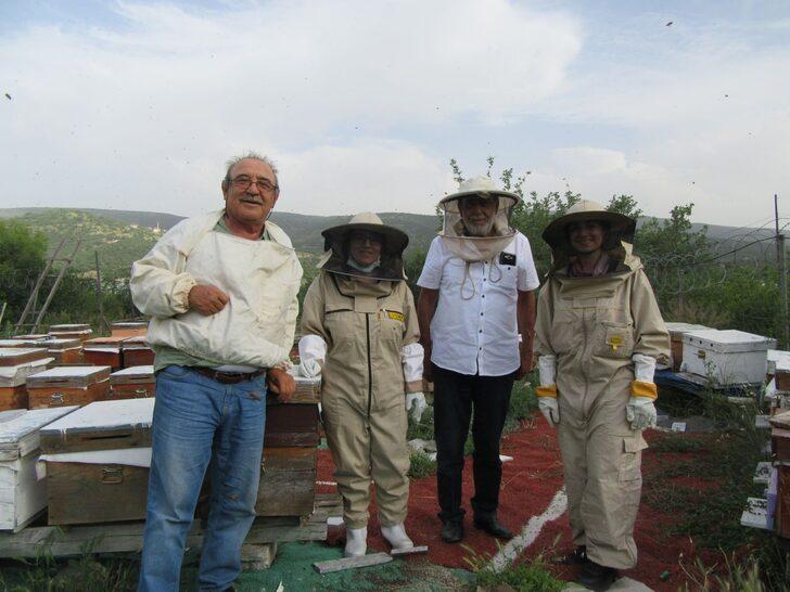 Anadolu arısı zehrinin kalitesi araştırılıyor G3