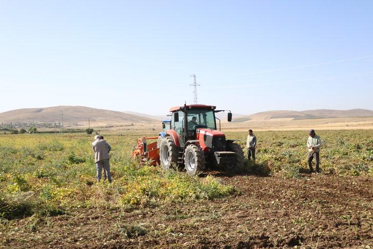 Niğde'de barbunya hasadı başladı G2