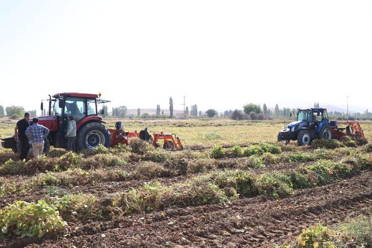 Niğde'de barbunya hasadı başladı G5
