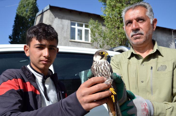 Kars'ta çocukların yaralı bulduğu kerkenez tedaviye alındı G2