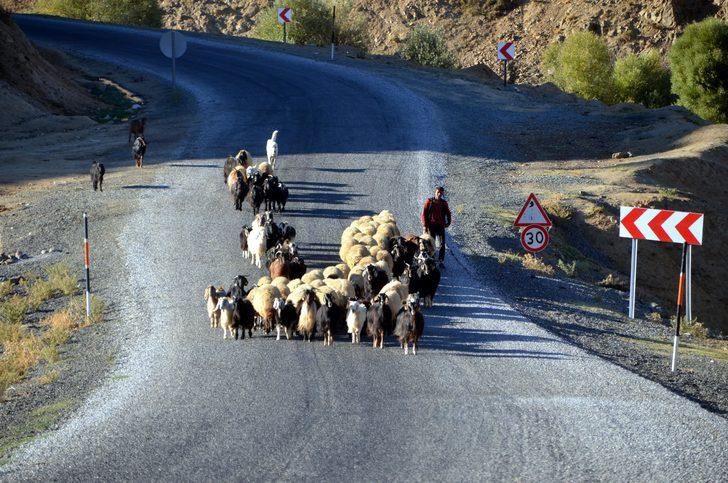 Muş'ta göçerlerin eve dönüş yolculuğu devam ediyor G5