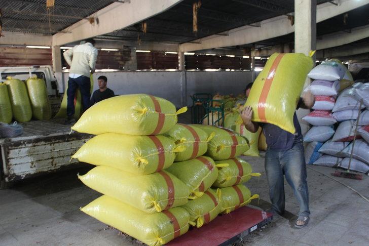 Erbaa ilçesi fındık veriminde Karadeniz illeriyle yarışıyor G3