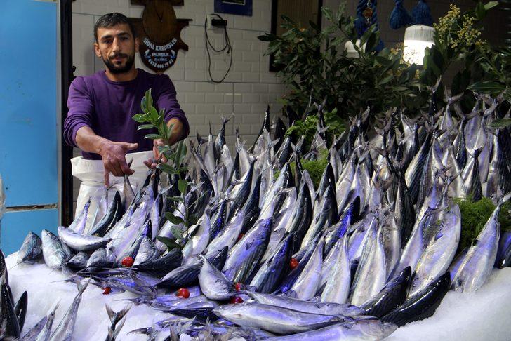 Karadeniz'de palamut "hamsi bolluğunda" G4