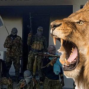 Dünya bu olayı konuşuyor! IŞİD'li teröristleri aslan yedi