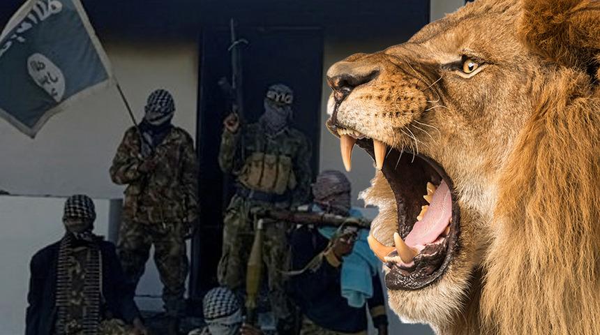 Dünya bu olayı konuşuyor! IŞİD'li teröristleri aslan yedi