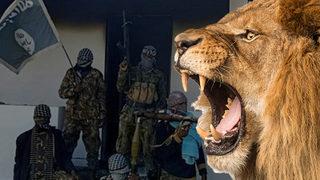Dünya bu olayı konuşuyor! IŞİD'li teröristleri aslan yedi