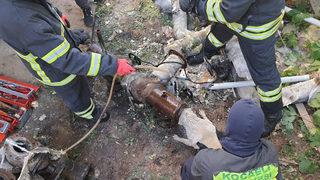 Kocaeli'de başı demir boruya sıkışan köpeği itfaiye kurtardı