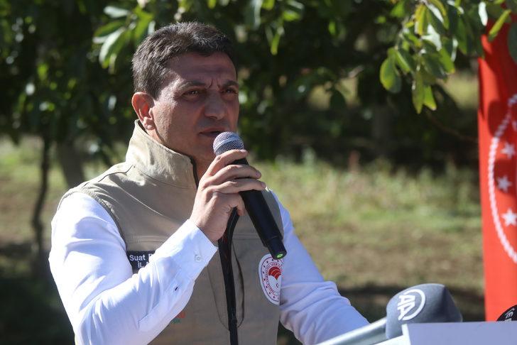 Yalova'da "Ceviz Tarla Günü" etkinliği düzenlendi G2