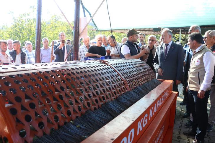 Yalova'da "Ceviz Tarla Günü" etkinliği düzenlendi G3