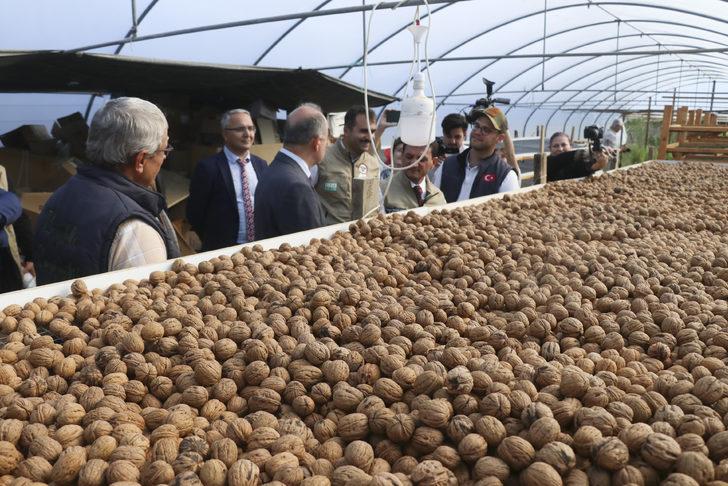Yalova'da "Ceviz Tarla Günü" etkinliği düzenlendi G4