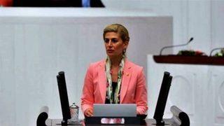 CHP'li Engin: Atatürk'ü paralardan silmek için bahane arıyorlar