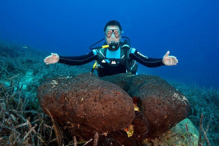 Bodrum'un sualtı güzellikleri belgesel olacak G3