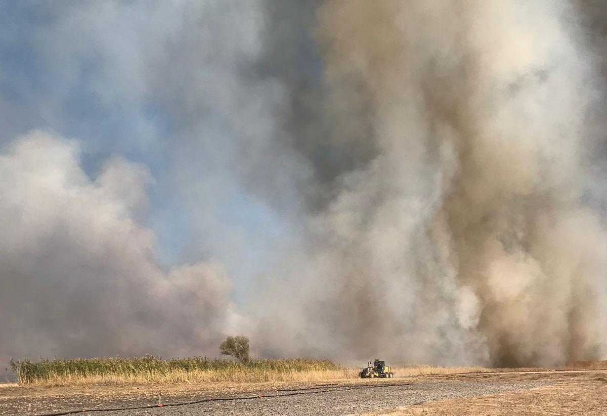 Eber G&ouml;l&uuml;'ndeki kamışlık alanda yangın &ccedil;ıktı