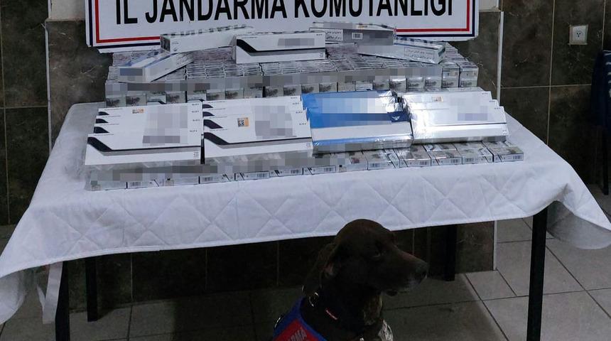 Ağrı'da sigara kaçakçılığında kullanılan 6 araca el konuldu