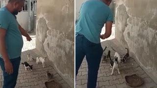 Gaziantep'te korkunç iddia! Büyü için kedi bacağı kesiliyor söylentileri sonrası harekete geçildi! Vali Gül'den açıklama