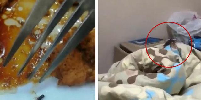 Kız öğrenci yurdunda mide bulandıran görüntüler