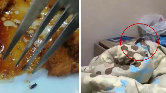 KYK kız öğrenci yurdunda çekilen görüntüler... Korkunç iddia: Çeşit çeşit böcekler, yılanlar...