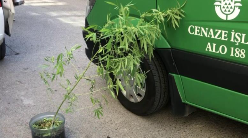 Günlerdir haber alınamıyordu! Kenevir yetiştirilen evde 25 yaşındaki gencin acı sonu