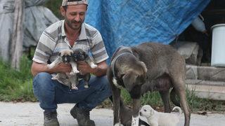 İnşaat ustasının sahiplendiği köpek, yavru kediye de annelik yapıyor