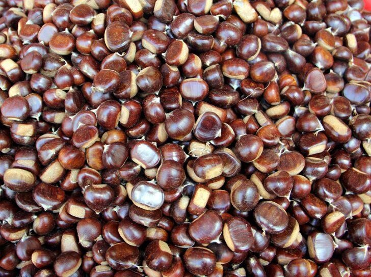 Erfelek kestanesinde rekoltenin 350 tona düşeceği öngörülüyor G3