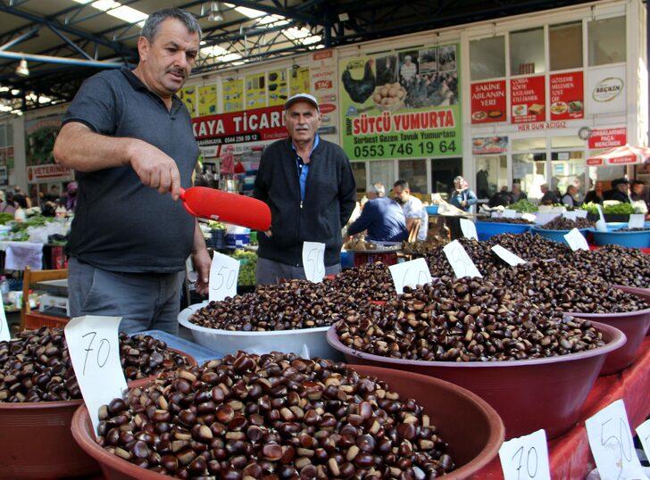Erfelek kestanesinde rekoltenin 350 tona düşeceği öngörülüyor G4