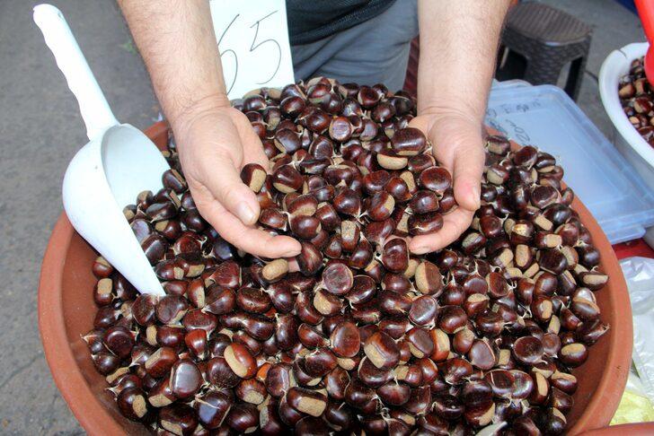 Erfelek kestanesinde rekoltenin 350 tona düşeceği öngörülüyor G5