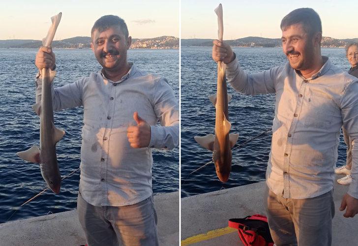 Beykoz'da şaşkına çeviren anlar... Oltasına yavru köpek balığı takıldı! 'İlk defa karşılaştım'
