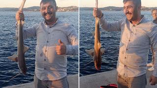 Beykoz'da şaşkına çeviren anlar... Oltasına yavru köpek balığı takıldı! 'İlk defa karşılaştım'