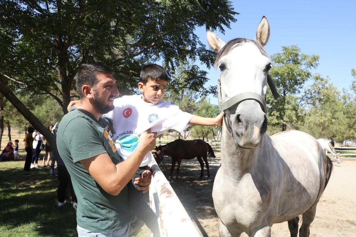 Diyarbakır'da engelliler i&ccedil;in atlı terapi hizmeti yeniden başladı