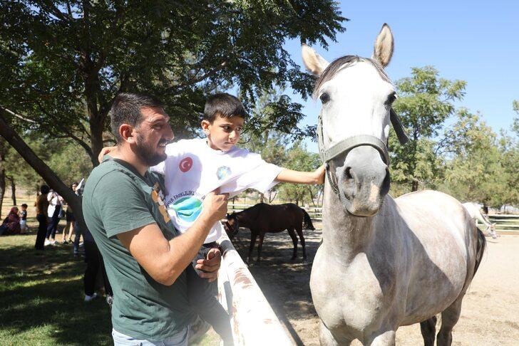 Diyarbakır'da engelliler için atlı terapi hizmeti yeniden başladı G1