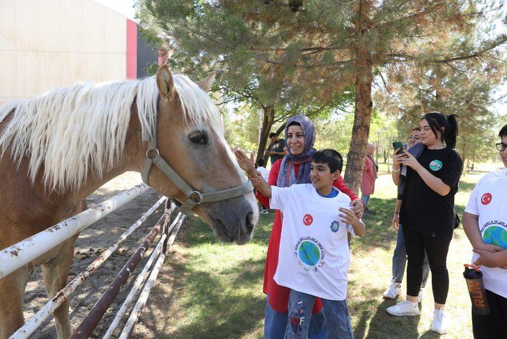 Diyarbakır'da engelliler için atlı terapi hizmeti yeniden başladı G3