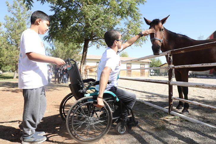 Diyarbakır'da engelliler için atlı terapi hizmeti yeniden başladı G4